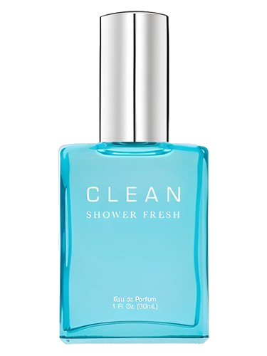 Clean Shower Fresh Clean