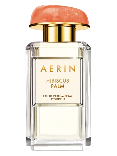 Hibiscus Palm Aerin