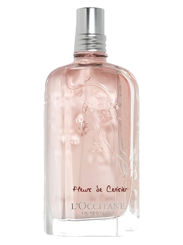 Fleurs De Cerisier L'Occitane en Provence