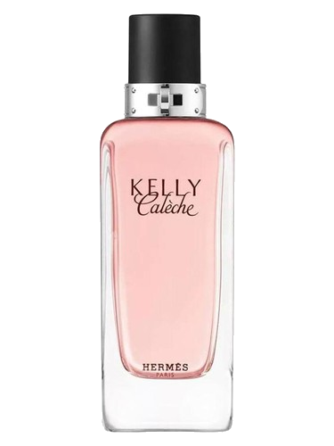 Kelly Calèche Hermès