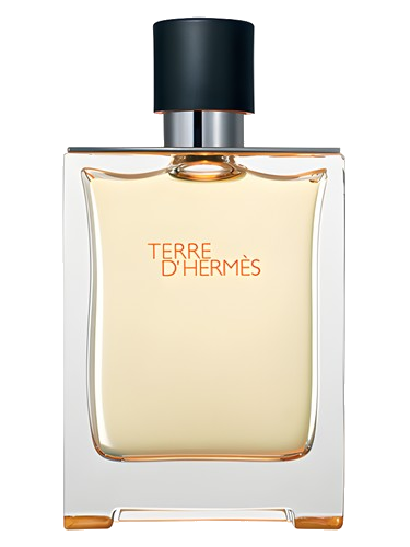 Terre d'Hermès Hermès