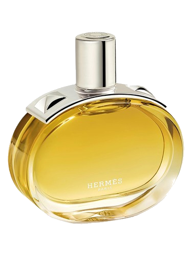 Barénia Intense Hermès