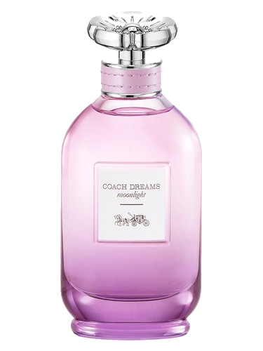 Coach Dreams Moonlight Coach