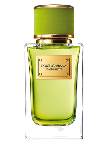 Velvet Mughetto Dolce&Gabbana