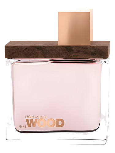She Wood DSQUARED²