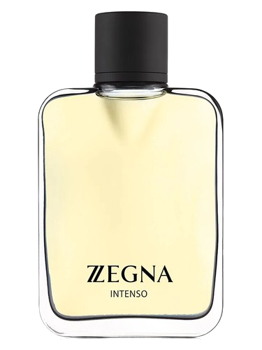 Zegna Intenso Ermenegildo Zegna