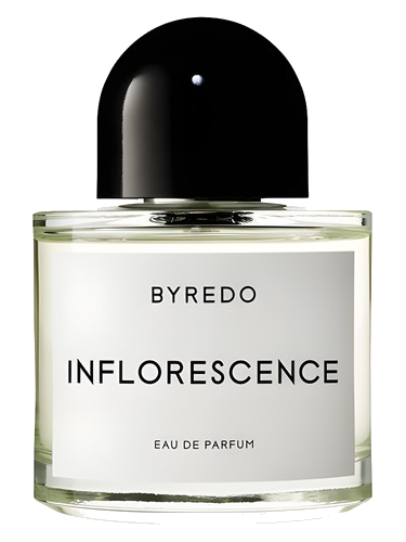 Inflorescence Byredo