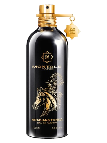 Arabians Tonka Montale