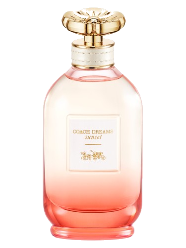 Coach Dreams Sunset Coach