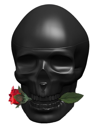 Ed Hardy Skulls & Roses for Him Christian Audigier