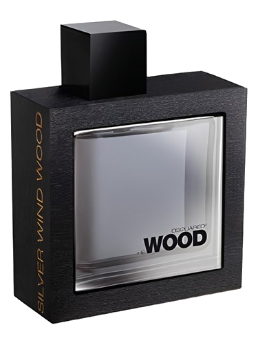 He Wood Silver Wind Wood DSQUARED²