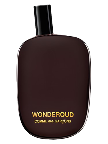 Wonderoud Comme des Garcons