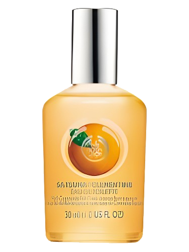 Satsuma The Body Shop