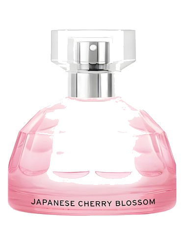Japanese Cherry Blossom The Body Shop