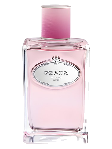 Infusion de Rose Prada