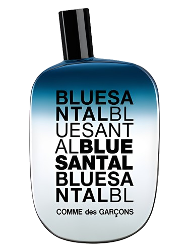 Blue Santal Comme des Garcons