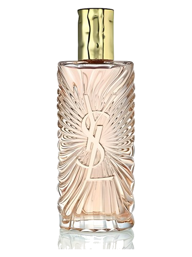 Saharienne Yves Saint Laurent