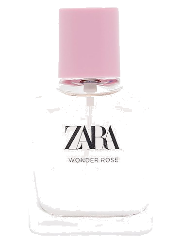 Wonder Rose 2019 Zara