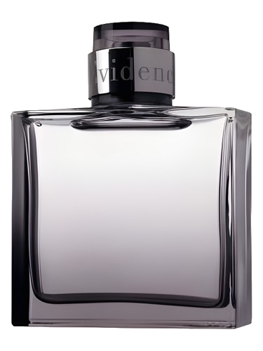 Comme une Evidence Homme Yves Rocher