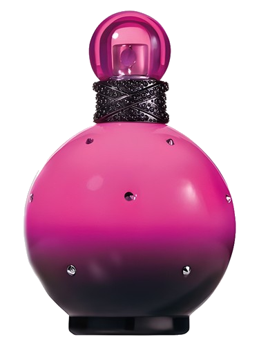 Rocker Femme Fantasy Britney Spears
