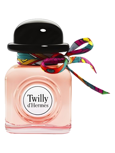 Twilly d’Hermès Hermès