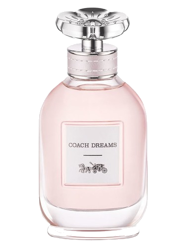 Coach Dreams Coach