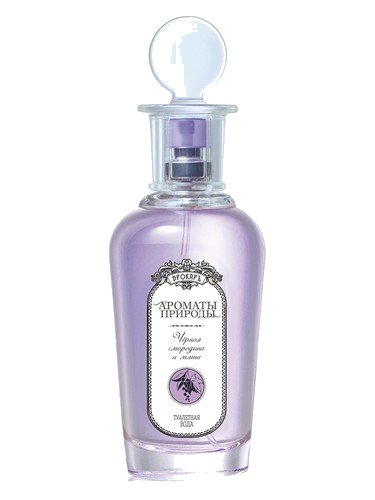 Черная смородина и мята - Black currant and Mint Brocard