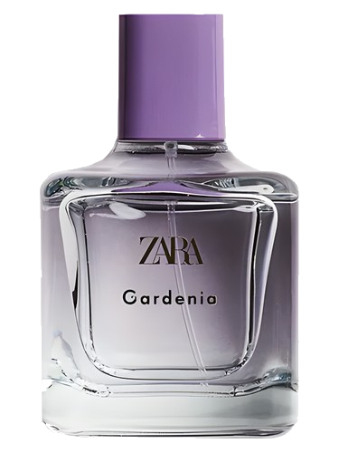 Gardenia Zara
