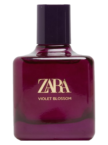 Violet Blossom Zara