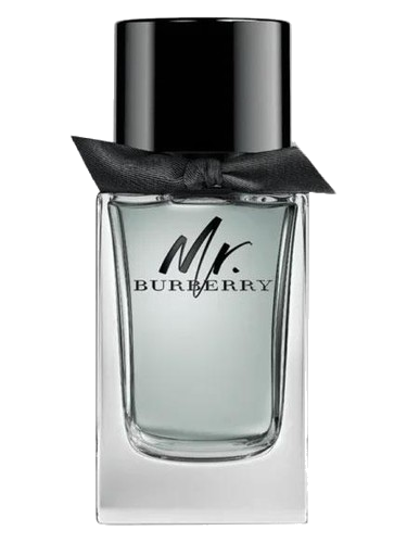 Mr. Burberry Burberry