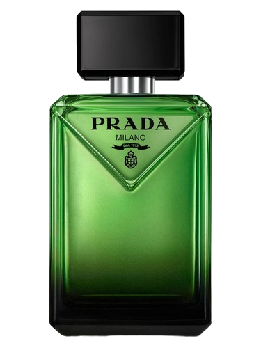 Paradigme Prada