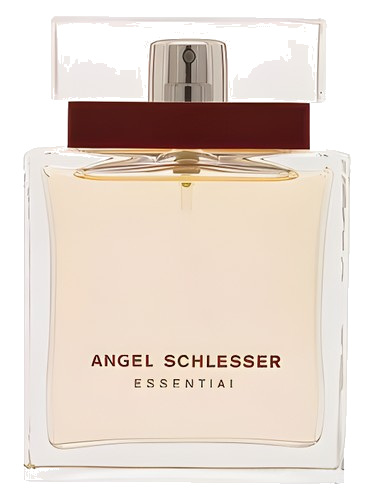 Angel Schlesser Essential Angel Schlesser