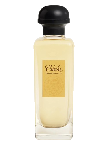 Caleche Hermès