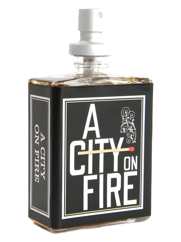 A City On Fire Imaginary Authors