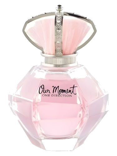Our Moment One Direction