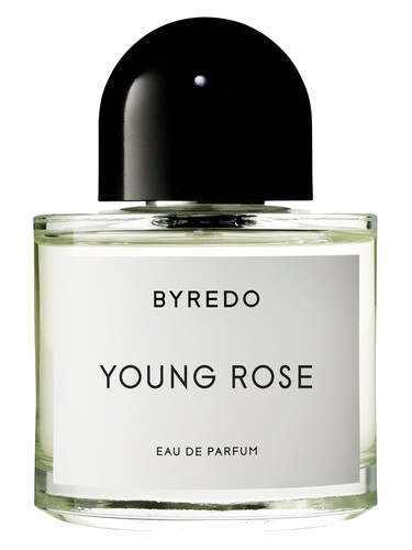 Young Rose Byredo